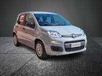 usata Fiat Panda 1.0 FIREFLY 70cv S&S LIFE