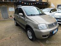 Usata Fiat Panda 4x4 Climbing 69 CV (50 kW) 2009 Marrone Utilitaria
