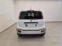 Usata Fiat Panda Cross 70 CV (51 kW) 2024 Bianco Utilitaria