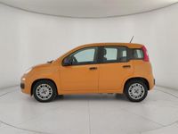 usata Fiat Panda 1.0 FireFly S&S Hybrid City Life