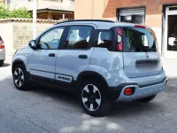 Usata Fiat Panda Cross Cross 69 CV (50 kW) 2019 Grigio Utilitaria