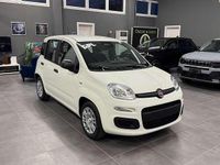 Nuova Fiat Panda S 69 CV (50 kW) 2025 Bianco Utilitaria
