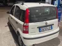 Usata Fiat Panda 69 CV (50 kW) 2009 Bianco Utilitaria