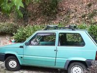 Usata Fiat Panda 1989 Verde