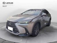 Usata Lexus NX350h 243 CV (178 kW) 2022 Sonic titanium SUV