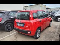 usata Fiat Panda 3ª serie 1.0 FireFly S&S Hybrid