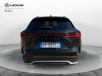 Usata Lexus NX350h Sport Line 243 CV (178 kW) 2024 Nero SUV