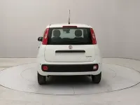 Nuova Fiat Panda S 70 CV (51 kW) 2025 Bianco Utilitaria
