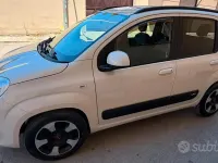 Usata Fiat Panda 95 CV (69 kW) 2017 Bianco Utilitaria