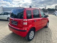 usata Fiat Panda 1.3 MJT o.k. neopatentati