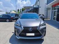 Usata Lexus NX300h Sport Line 155 CV (114 kW) 2015 Argento SUV