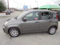 usata Fiat Panda 1.0 1.0 FireFly S&S Hybrid neopatentati