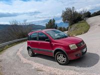 Usata Fiat Panda Dynamic 60 CV (44 kW) 2008 Rosso Utilitaria