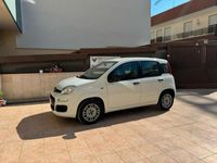 usata Fiat Panda 1.2 UNICO PROPRIETARIO POCHI KM