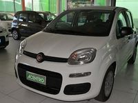Usata Fiat Panda 70 CV (51 kW) 2021 Gray Utilitaria