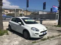 Usata Fiat Punto Lounge 77 CV (56 kW) 2014 Bianco Utilitaria