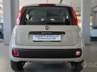Usata Fiat Panda Easy 86 CV (63 kW) 2017 Beige Utilitaria