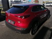 usata Mazda CX-30 e-Skyactiv-G 150 CV M Hybrid 2WD Exclusive Line nuova a Sora