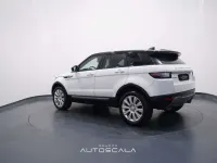 Usata Land Rover Range Rover evoque Pure 150 CV (110 kW) 2017 Fujii white / tetto nero SUV