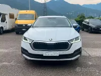 Usata Skoda Octavia Scout 4x4 150 CV (110 kW) 2023 Bianco Station wagon