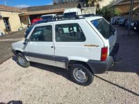 Usata Fiat Panda 4x4 Trekking 54 CV (39 kW) 2000 Bianco Utilitaria