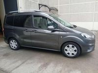 Usata Ford Tourneo 75 CV (55 kW) 2018 Grigio Furgone