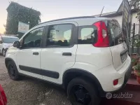 Usata Fiat Panda 4x4 S 85 CV (62 kW) 2020 Bianco Utilitaria