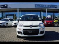 Usata Fiat Panda 70 CV (51 kW) 2024 Bianco divino Utilitaria