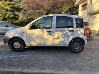 Usata Fiat Panda Dynamic 69 CV (50 kW) 2008 Utilitaria