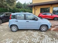 Usata Fiat Panda S 69 CV (50 kW) 2022 Grigio Utilitaria