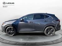 Usata Lexus NX300 309 CV (227 kW) 2023 Grigio SUV