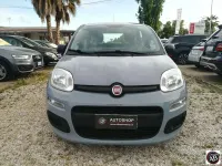 Usata Fiat Panda S 69 CV (50 kW) 2021 Grigio chiaro Utilitaria