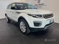 Usata Land Rover Range Rover evoque SE 150 CV (110 kW) 2017 Bianco SUV