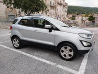 Begagnad Ford Ecosport Business Edition 125 HK (91 kW) 2019 Silver SUV
