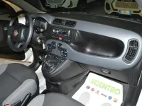 Usata Fiat Panda 70 CV (51 kW) 2021 Bianco Utilitaria