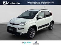 Usata Fiat Panda 4x4 S 95 CV (69 kW) 2017 Bianco Utilitaria