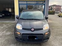 Usata Fiat Panda City Life 69 CV (50 kW) 2021 Grigio Utilitaria