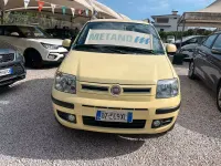Usata Fiat Panda Dynamic 60 CV (44 kW) 2009 Giallo Utilitaria