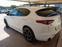 Usata Alfa Romeo Stelvio Veloce 209 CV (153 kW) 2021 Bianco SUV