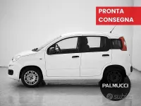Usata Fiat Panda Easy 69 CV (50 kW) 2019 Bianco Utilitaria