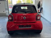 Usata Smart ForFour Passion 90 CV (66 kW) 2018 Rosso Utilitaria