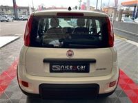 usata Fiat Panda Cross 1.0 FireFly S&S Hybrid City nuovo