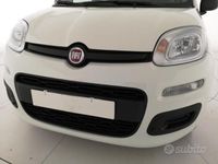 usata Fiat Panda 1.2 lounge Zevio