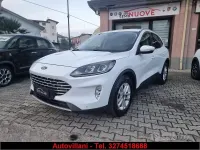 Usata Ford Kuga Titanium 120 CV (88 kW) 2020 Bianco SUV