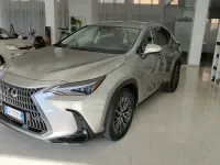 Usata Lexus NX450h+ 184 CV (135 kW) 2022 Grigio SUV