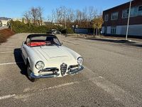 Usata Alfa Romeo Giulia Spider 1960 Bianco Cabrio