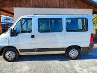 usata Fiat Ducato 11 2.0 JTD 9 posti