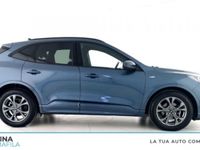 usata Ford Kuga 2.0 EcoBlue Hybrid 150 CV 2WD ST-Line X