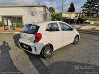 Usata Kia Picanto X-Line 65 CV (47 kW) 2022 Bianco Utilitaria