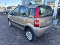 Usata Fiat Panda 4x4 Climbing 69 CV (50 kW) 2011 Oro Utilitaria